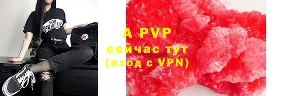 ECSTASY Сосновоборск