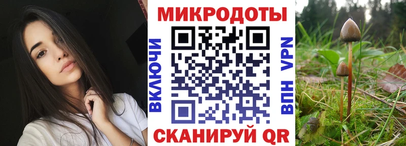 Псилоцибиновые грибы Psilocybe  Чулым 