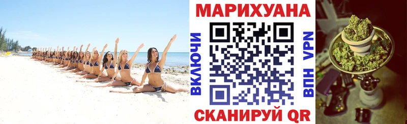 Бошки марихуана семена  KRAKEN   Чулым 